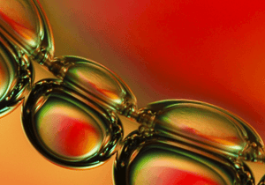8-IN-1 ANTIOXIDANT SHIELD COMPLEX