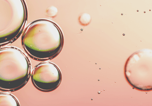 3.3% ELLAGIC & PREBIOTICS COMPLEX